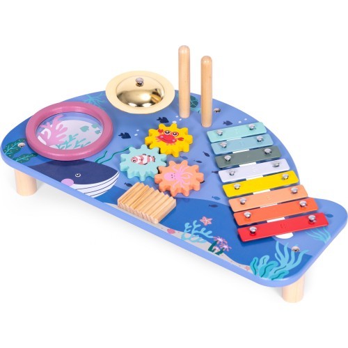 Instrument table music table dulcimer cymbal percussion cymbal grater marine theme ECOTOYS