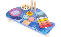Instrument table music table dulcimer cymbal percussion cymbal grater marine theme ECOTOYS