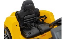 Porsche Spyder RS 718  vehicle Painting Yellow