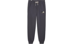 Мужские спортивные брюки Puma Better Sportswear Galactic Gray 681760 69