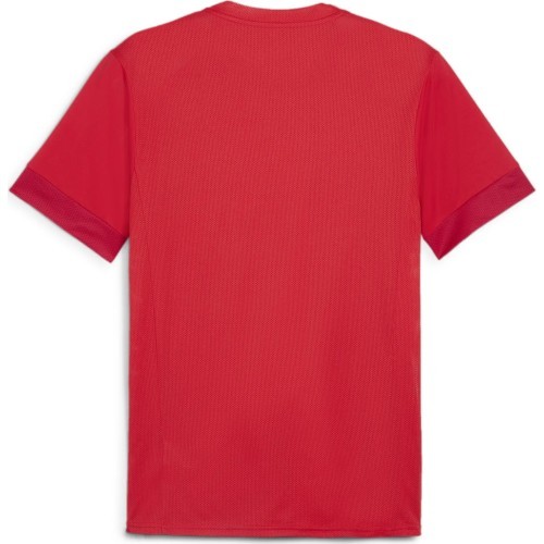Puma Marškinėliai Vyrams TeamGoal Matchday Jersey Red 705747 01