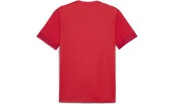 Puma Marškinėliai Vyrams TeamGoal Matchday Jersey Red 705747 01
