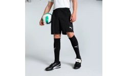 Puma TeamGoal Men's Shorts Black 705752 03