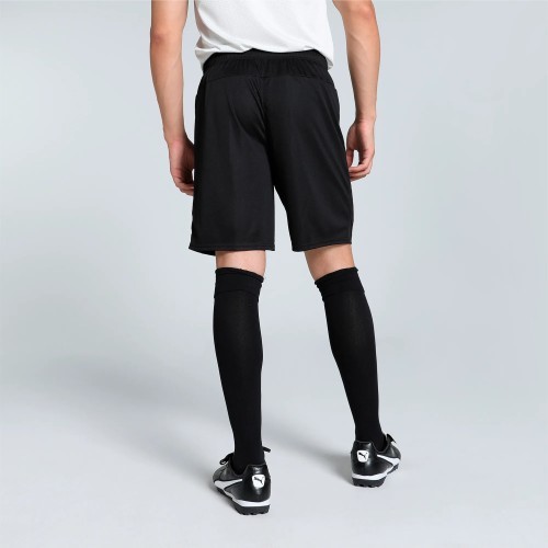 Puma TeamGoal Men's Shorts Black 705752 03