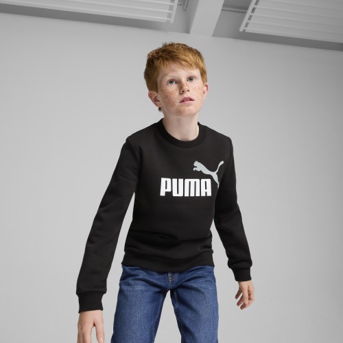 Puma Ess + 2 Col Big Logo FL Junior Hoodie Black 586986 60