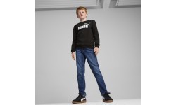 Puma толстовка подростковая Ess + 2 Col Big Logo FL Black 586986 60