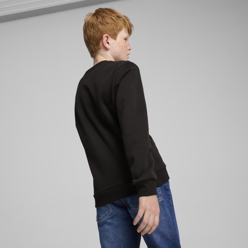 Puma толстовка подростковая Ess + 2 Col Big Logo FL Black 586986 60