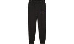Мужские спортивные брюки Puma Ess+ Logo Lab Sweatpants FL, черные 681776 01