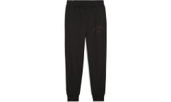 Мужские спортивные брюки Puma Ess+ Logo Lab Sweatpants FL, черные 681776 01