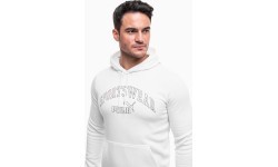 Puma Džemperis Vyrams Ess+ Logo Lab Hoodie Fl White 681775 02
