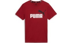 Puma Marškinėliai Paaugliams Ess+ 2 Col Logo Tee Bordeaux 586985 14