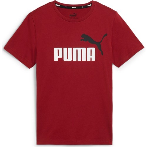 Puma Marškinėliai Paaugliams Ess+ 2 Col Logo Tee Bordeaux 586985 14