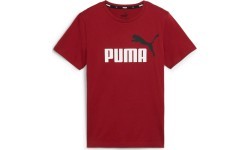 Puma Marškinėliai Paaugliams Ess+ 2 Col Logo Tee Bordeaux 586985 14