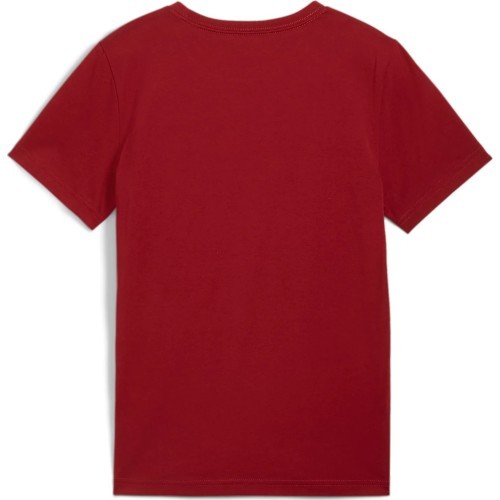 Puma Marškinėliai Paaugliams Ess+ 2 Col Logo Tee Bordeaux 586985 14