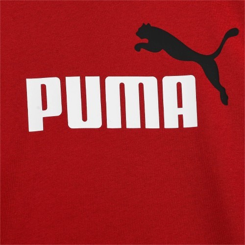 Puma Marškinėliai Paaugliams Ess+ 2 Col Logo Tee Bordeaux 586985 14
