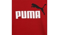 Puma Marškinėliai Paaugliams Ess+ 2 Col Logo Tee Bordeaux 586985 14