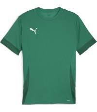 Puma TeamGoal Matchday Jersey Men's T-Shirt Green 705747 05