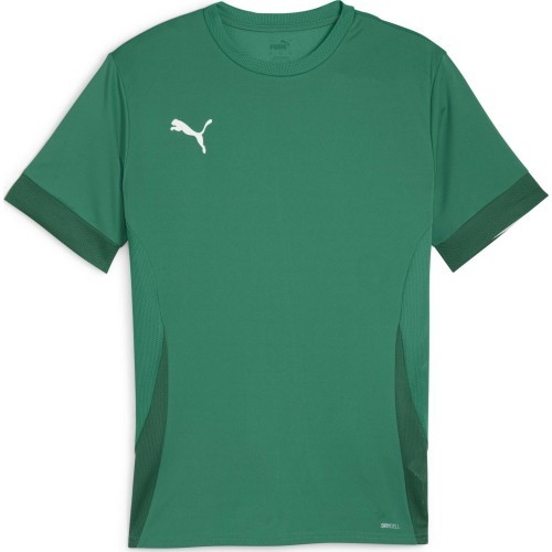 Puma TeamGoal Matchday Jersey Men's T-Shirt Green 705747 05
