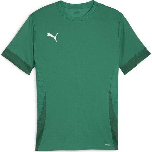 Puma TeamGoal Matchday Jersey Men's T-Shirt Green 705747 05