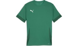 Puma Marškinėliai Vyrams TeamGoal Matchday Jersey Green 705747 05
