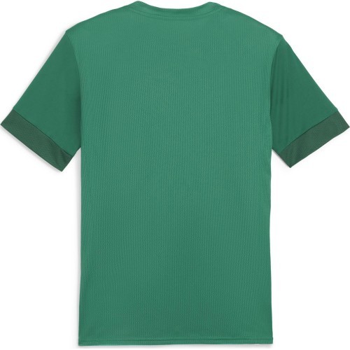 Мужская футболка Puma TeamGoal Matchday Jersey Green 705747 05
