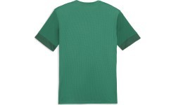 Мужская футболка Puma TeamGoal Matchday Jersey Green 705747 05