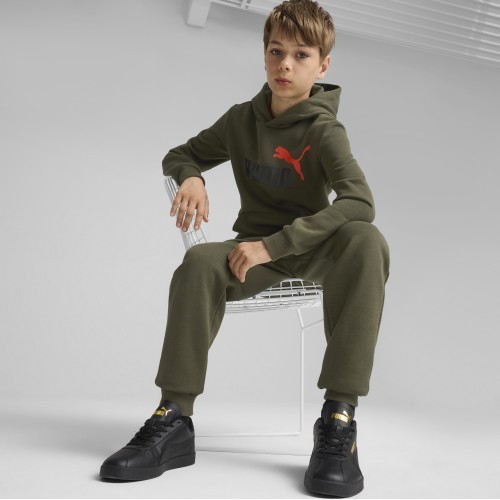 Брюки подростковые Puma Ess + 2 Col Logo Pants Fl, хаки 586988 77