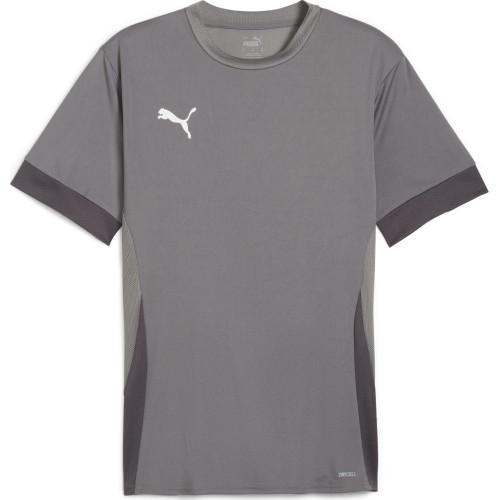 Puma Marškinėliai Vyrams TeamGoal Matchday Jersey Grey 705747 13