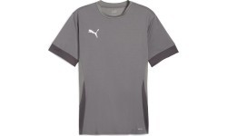 Puma Marškinėliai Vyrams TeamGoal Matchday Jersey Grey 705747 13