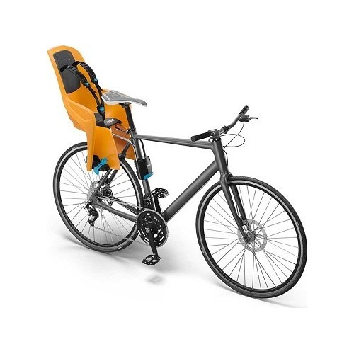 Rear Child Bike Seat Thule RideAlong Lite Zinnia