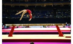 Гимнастическое бревно GYMNOVA FIG для соревнований, 5 м