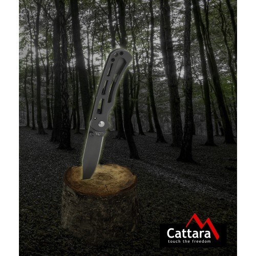 Sulankstomas peilis su fiksatoriumi Cattara Bolet, 16,5 cm
