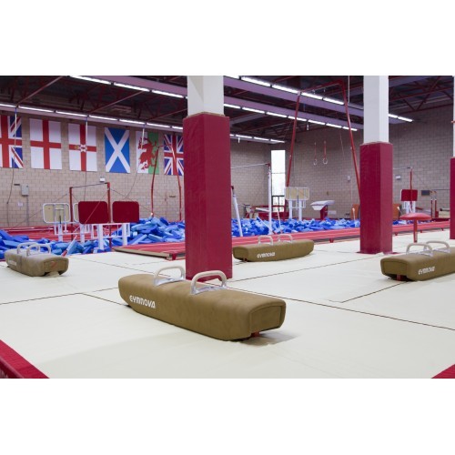 LOW POMMEL HORSE - HEIGHT 50 cm