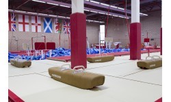 Žemas gimnastikos arklys, aukštis 50 cm