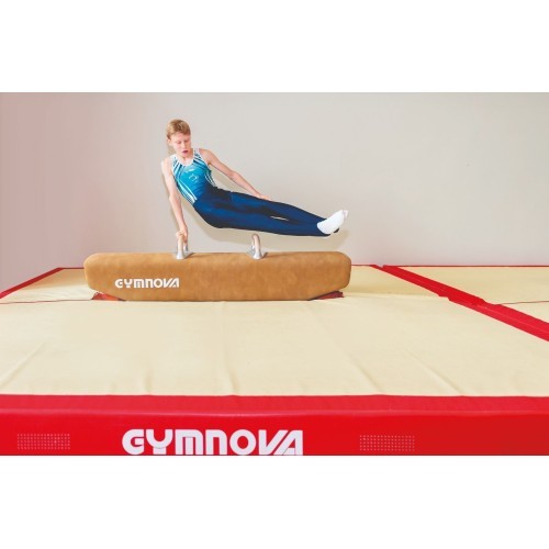 LOW POMMEL HORSE - HEIGHT 50 cm