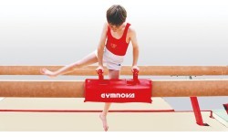 REMOVABLE POMMEL HANDLES FOR BEAMS - Pair