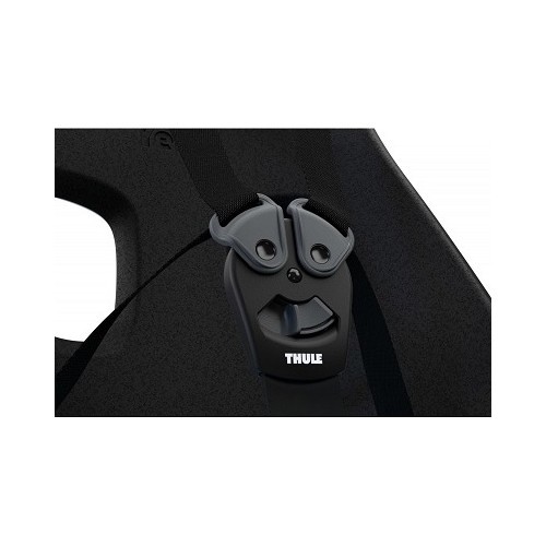 Front Child Bike Seat Thule Yepp Nexxt Mini Monument