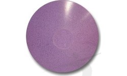 Disc POLANIK DSK-1