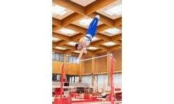 LONDON COMPETITION HIGH BAR - STANDARD CABLE - FIG Approved