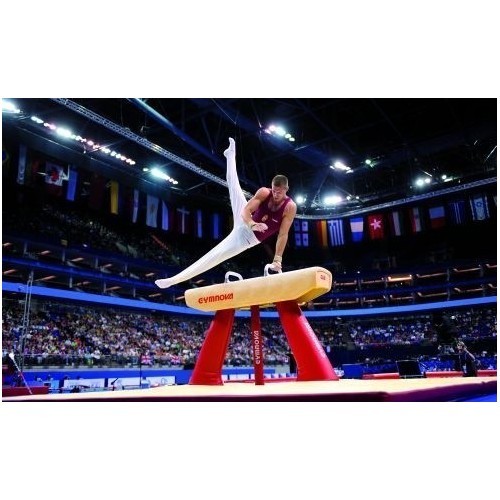 Gimnastikos ožys GYMNOVA, odinis, FIG patvirtintas