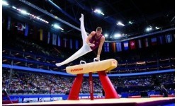 Gimnastikos ožys GYMNOVA, odinis, FIG patvirtintas