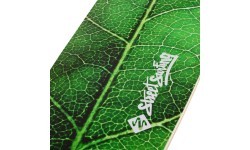 Longbordas Street Surfing Fishtail – The Leaf 42”