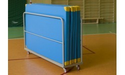 Landing Area Transportation Trolley Coma-Sport IN-172