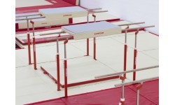 PROTECTION PAD FOR FLIGHT ELEMENTS ON PARALLEL BARS
