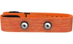 Polar Pro Strap sensor belt