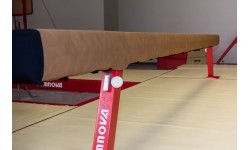 Nuimamas užvalkalas treniruočių ir varžybų gimnastikos rąstams (3610-3611-3612-3620-3670-3672)