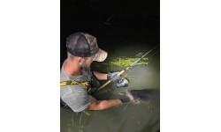 Meškerė Zfish Catfish Morga 2,70 m, 100-400 g