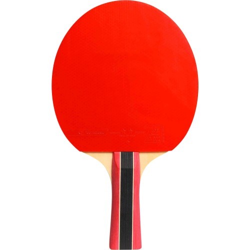 Cornilleau Sport 300 stalo teniso raketė