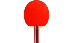 Cornilleau Sport 300 stalo teniso raketė