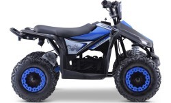 Quad E-STAR vehicle Blue